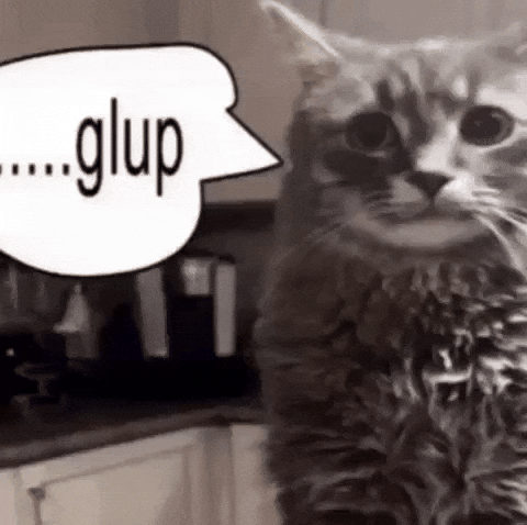 Cat Gulp GIF