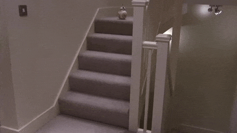 bb8