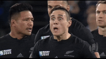 Mad World Rugby GIF by Rugby World Cup