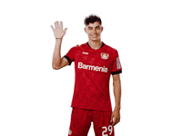 bayer04-bayer-leverkusen-04-L4UU6xu0Qe9njyu2qh