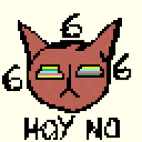 Norvina-cat GIFs - Get the best GIF on GIPHY