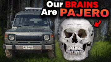 Mitsubishi Comment Section GIF