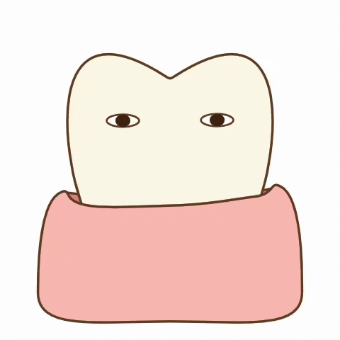 Tooth Gums GIF by dental_sozai