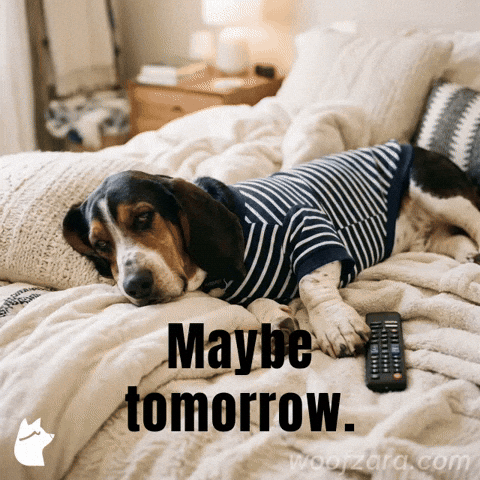 Procrastinate Basset Hound GIF by Goeememe