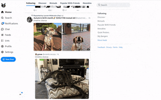 Image GIF