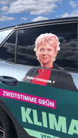 Landtagswahl GIF by Grüne Sachsen-Anhalt