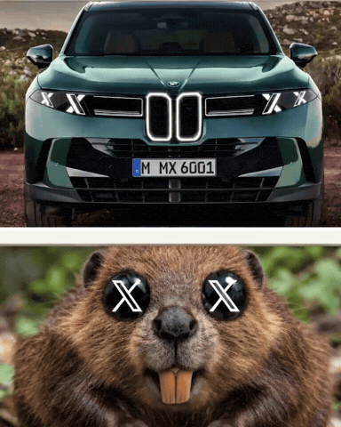 X3 X5 GIF