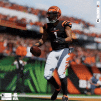 American Football GIFs - Find & Share on GIPHY