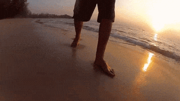attic  GIF