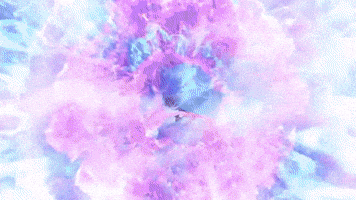 Steelo GIF