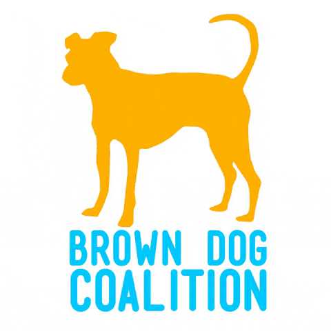 browndogcoalition dog rescue brown dog GIF