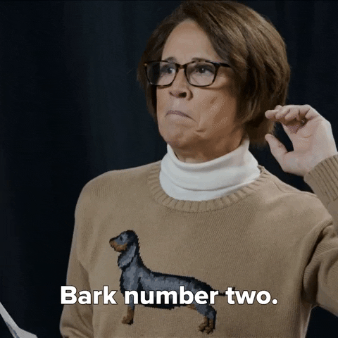 Dog Show Woof GIF by NBC