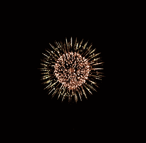 Happy New Year Fireworks GIF by hoppip