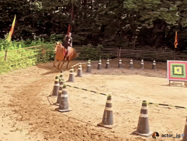 Horseback Riding Jg GIF