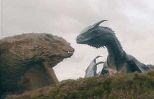 House Dragon GIF