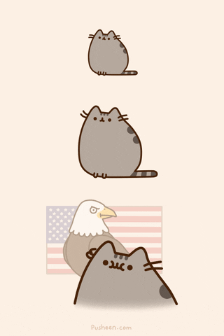 cat problem GIF by Pusheen