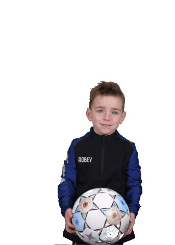 Z.V.V. Pelikaan Sticker