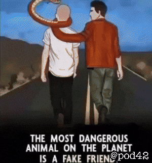 Traitor Fake Friends GIF