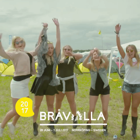 Happy Joy GIF by Bråvalla Festival