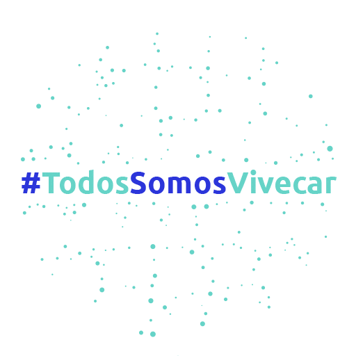 Vivecar Sticker