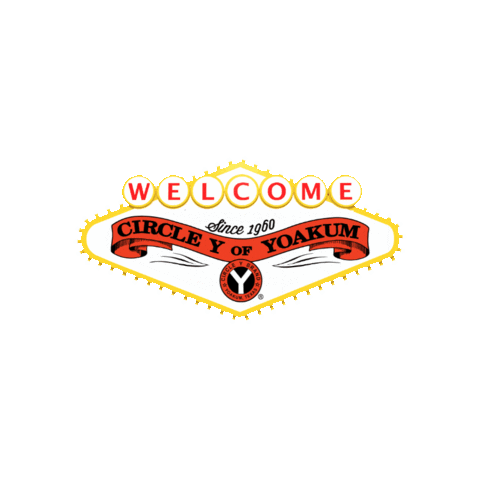 Circle Y Saddles Sticker