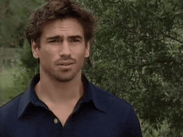 Harry Reynolds GIF