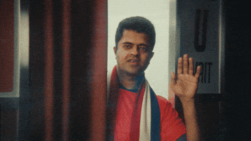 Wave Waving GIF by Budweiser
