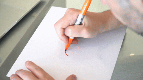 Making of Detail-Oriented Dumbo Octopus