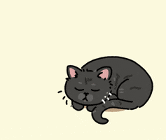 Cat GIF