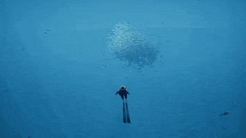 alexzanderzone  GIF