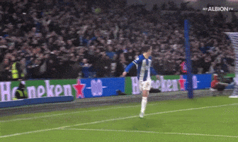Football Brighton GIF