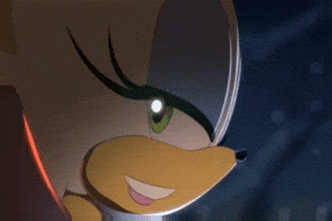 Shadow The Hedgehog Rouge GIF