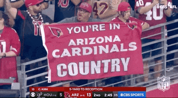 Arizona Cardinals Football GIF by NFL