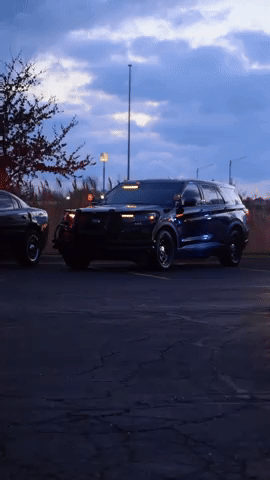 Ford GIF