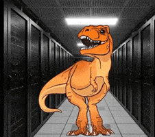 Spiceworks GIF