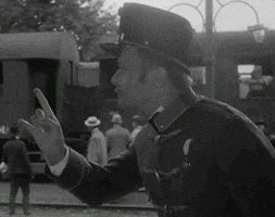 Film Hungarian GIF