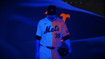 Baseball Nyc GIF by New York Mets