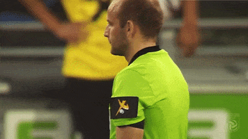 Bundesliga Referee GIF by SK Sturm Graz