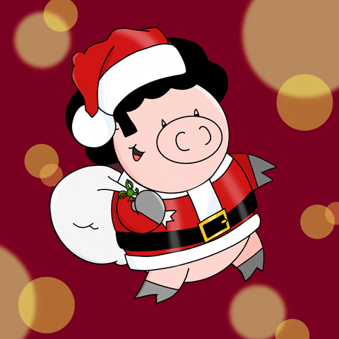Santa Baby Christmas GIF by Afro Pig