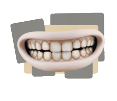 Sticker by Petry Ortodontia