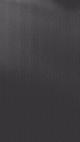 GIF by Tmangroup