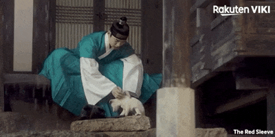 Korean Drama Puppy GIF by Viki