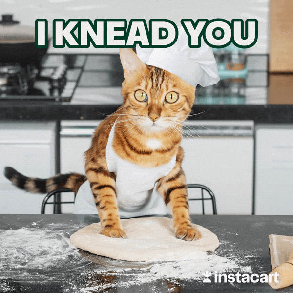 I Need You Cat GIF by Instacart