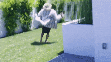 birdie #joannethescammer GIF