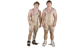 Ppp D3 Sticker by Albion College