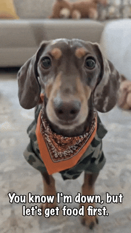 But Lets Get Food First GIF