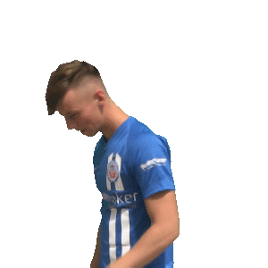 Hansa Inklusion Sticker