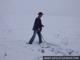 whip it GIF