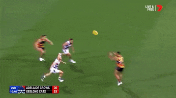 adelaidecrows 2019 afl adelaide crows round 3 GIF