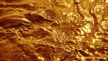 GoldRepublic GIF